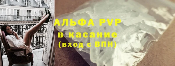 СК Алзамай