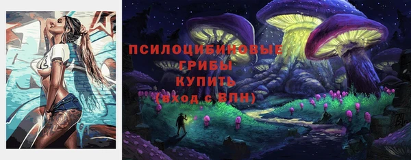 СК Алзамай